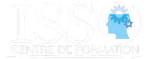 Logo ISS CF - vidéo institutionnelle Stea Web